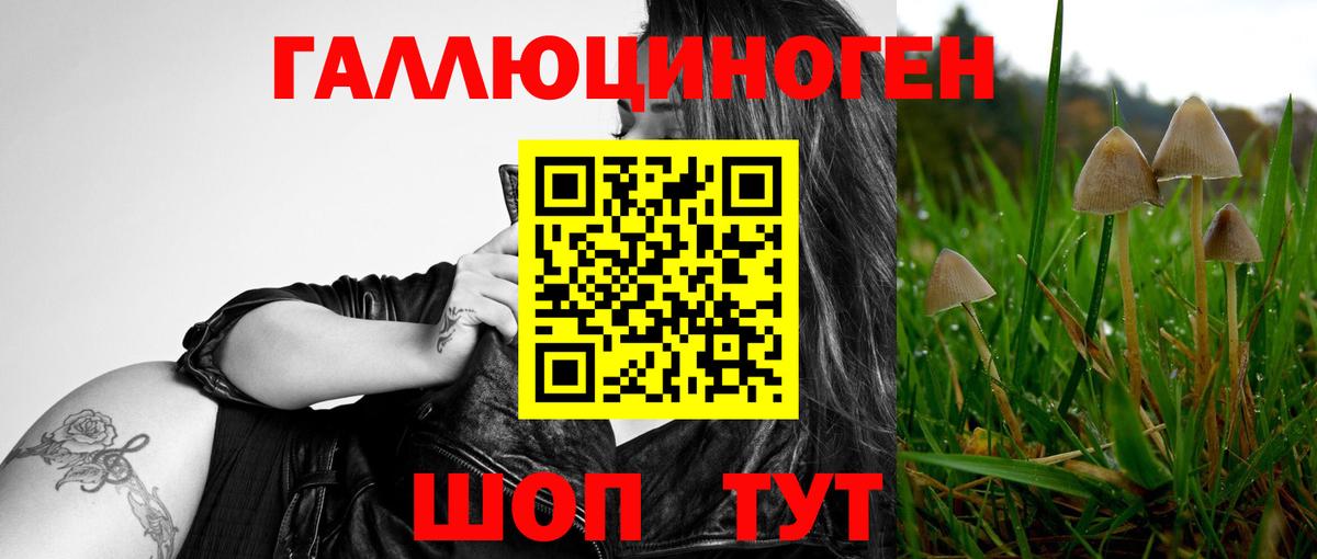 Псилоцибиновые грибы MAGIC MUSHROOMS  Псилоцибиновые грибы Magic Shrooms  Вход с VPN  Лангепас 