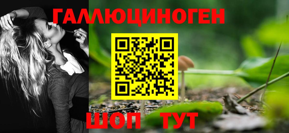 Псилоцибиновые грибы Psilocybe Лангепас